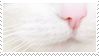 cat stamp